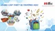 Công ty TNHH Hitec "vua" đấu thầu thiết bị giáo dục đất Cố đô