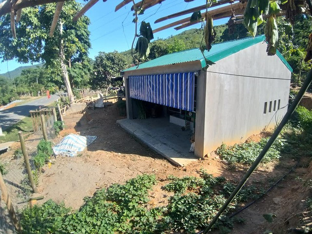 Sau khi chuồng bò được xây dựng và đưa vào sử dụng đã tạo ra nhiều ý kiến trái chiều. Đa số cho rằng việc xây dựng chuồng bò đắt là quá lãng phí, không phù hợp. Trong khi đó, người dân trên địa bàn này đang ở nhà tranh tre vách nứa, chưa được xây dựng kiên cố thì chuồng bò được xây dựng đẹp hơn chẳng khác nào bò lại được xây "biệt thự" để ở. (Ảnh: Dân Trí).