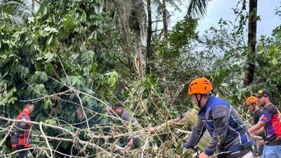 Bão Kalmaegi đổ bộ vào Philippines, hàng nghìn người sơ tán