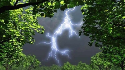 Sét đánh khi đang trú mưa, 9 người tử vong