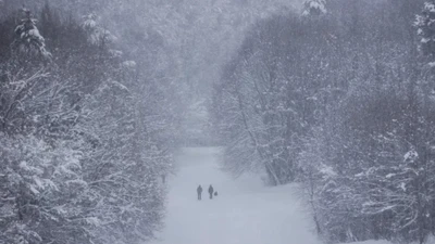 Cảnh tuyết rơi trắng xóa ở Hungary