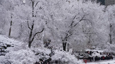 Hình ảnh tuyết rơi trắng xóa ở thành phố New York