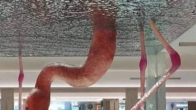 Loạt ảnh siêu thực được ghi lại khiến người nhìn sửng sốt