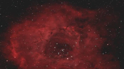 Dịp 8/3 Roscosmos gửi tặng 'bó hoa vũ trụ' tuyệt đẹp tới phụ nữ