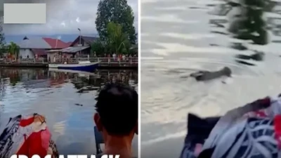 Đang bơi ở sông, bé trai 10 tuổi bị cá sấu tấn công tử vong