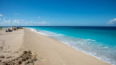 Người phụ nữ bị cá mập tấn công tử vong trên bãi biển