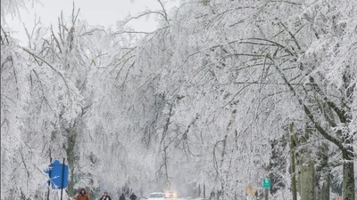 Bão mùa đông ở Mỹ, ít nhất 30 người thiệt mạng