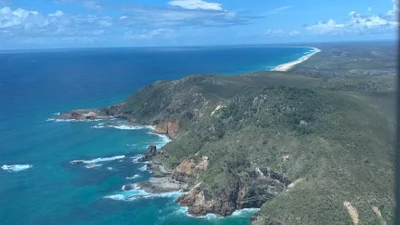 Cô gái trẻ tử vong vì bị cá mập tấn công tại bãi biển Australia