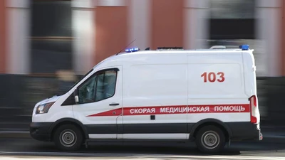 Xe buýt đâm vào cây ở Nga, 8 người thương vong