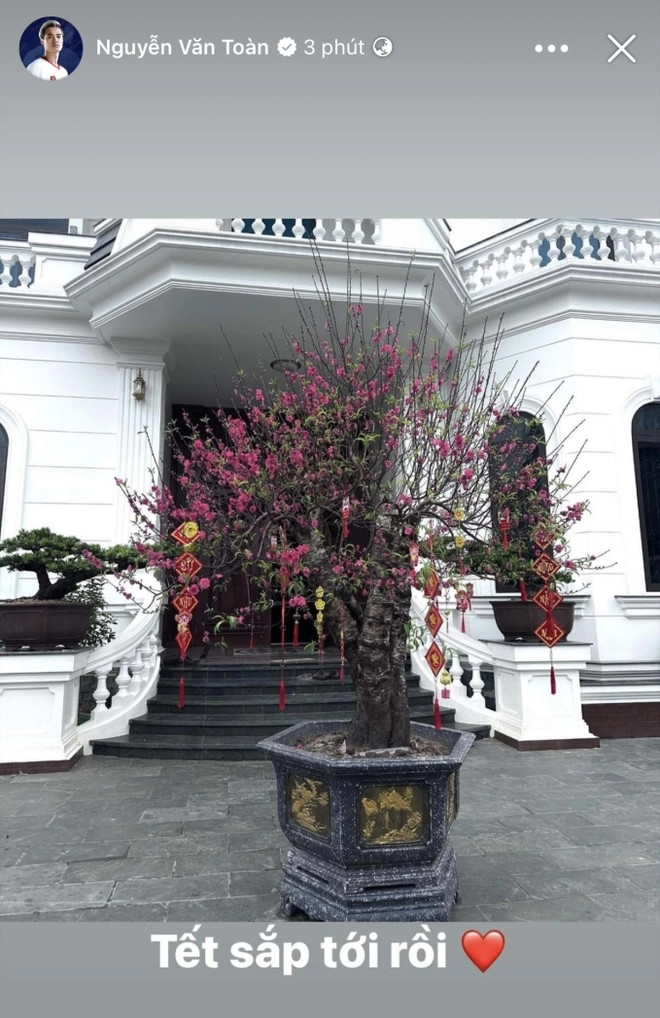 Trước sân nhà, Văn Toàn đặt một chậu đào cổ thụ lớn. Ảnh: FB Nguyễn Văn Toàn