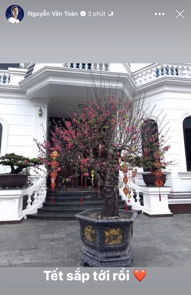 Trước sân nhà, Văn Toàn đặt một chậu đào cổ thụ lớn. Ảnh: FB Nguyễn Văn Toàn