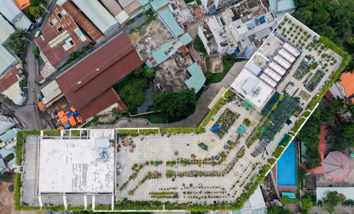 Vì vậy, khi chuyển về chung cư ở phường Bình Trị Đông, anh đặt vấn đề này với ban quản lý, đảm bảo với họ sẽ thiết kế vườn cây không ảnh hưởng đến hạ tầng kỹ thuật của toà nhà. Ảnh: Vnexpress