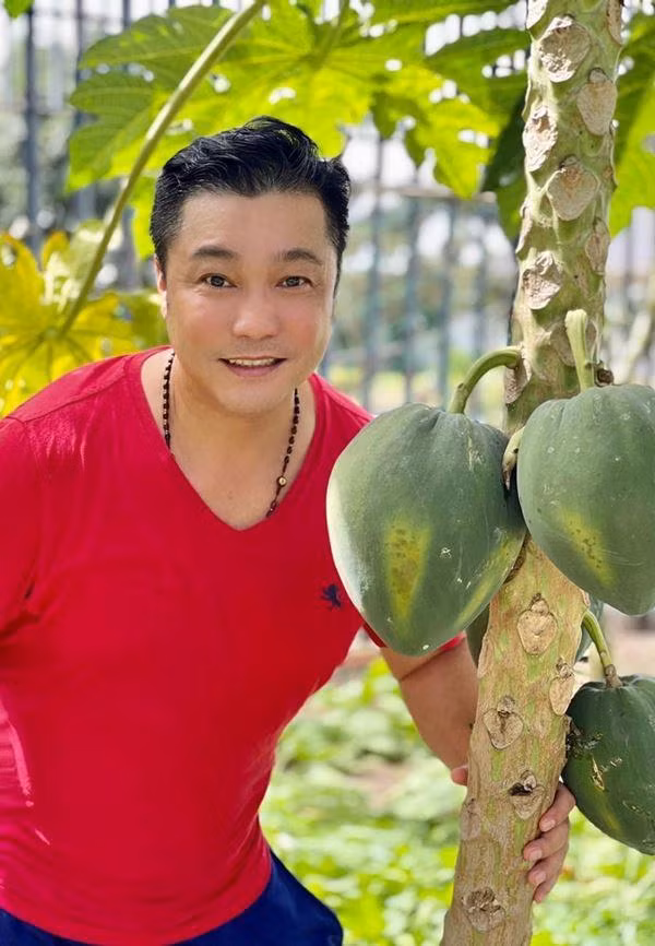 Nam tài tử khoe cây đu đủ trồng đã cho trái. Ảnh: FBNV