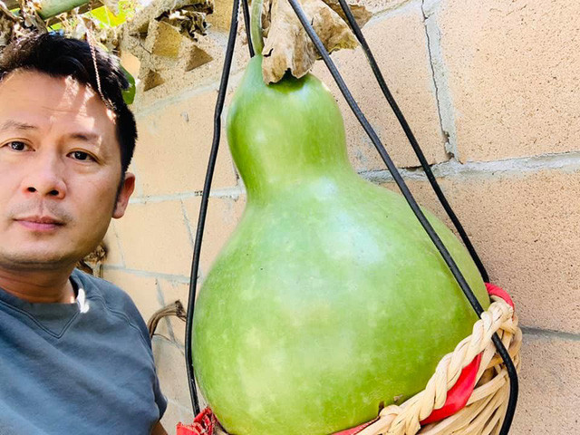 Mới đây, ca sĩ Bằng Kiều khoe trái cây thu hoạch tại vườn nhà bên Mỹ khiến nhiều người không khỏi trầm trồ.