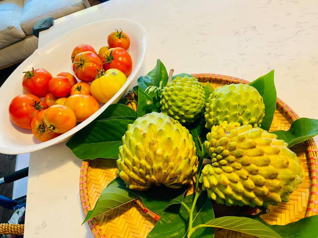 Thành quả thu hoạch trong vườn nhà nam sĩ.