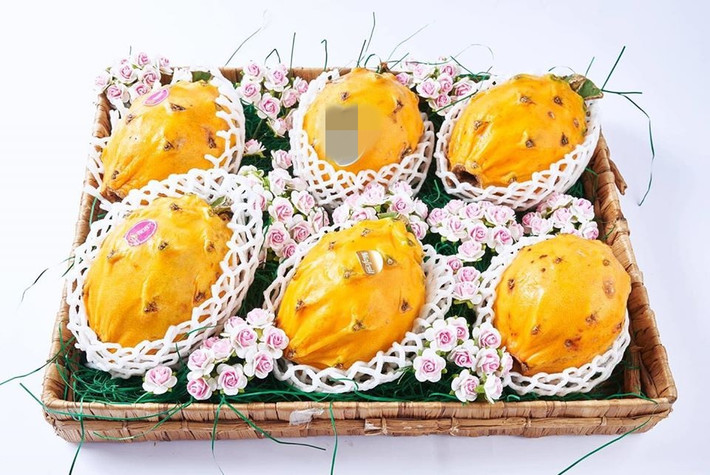 Chị Mỹ Linh, đại diện một chuỗi cửa hàng hoa quả nhập ngoại cao cấp ở Hà Nội cho biết, sở dĩ thanh long vàng có giá cao hơn mặt bằng chung thị trường bởi đây là hàng loại 1, nhập khẩu từ Ecuador, hàng về theo đường máy bay. Ảnh: Mia Fruit.