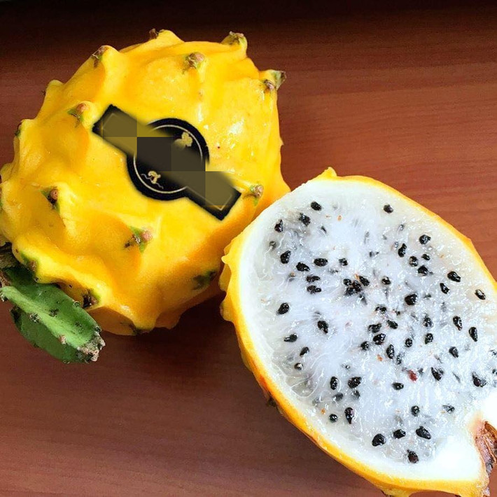 Theo người bán, thanh long vàng Ecuador có vị ngọt đậm, thơm, thịt chắc giòn. Ảnh: Mia Fruit.