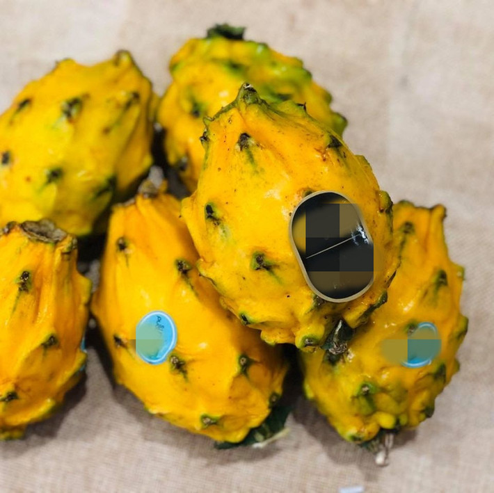 Và đặc biệt, thanh long vàng Ecuador rất sạch vì trồng theo phương pháp hữu cơ. Ảnh: Mia Fruit.