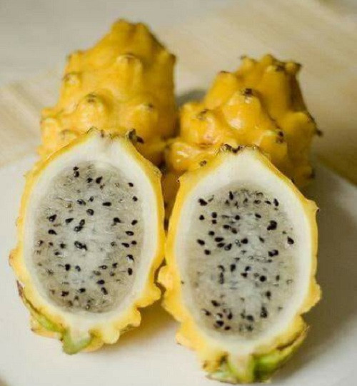 Quả thanh long vàng có lớp thịt trắng, xốp, dày đặc, chứa nhiều hạt nhỏ màu đen. Ảnh: Halafruit.