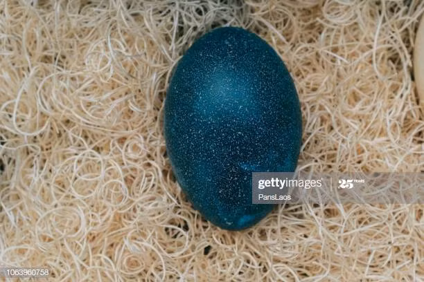 Tuy nhiên, do phải chịu phí vận chuyển qua đường hàng không và phí nhập khẩu nên trứng đà điểu về Việt Nam có giá đắt gấp đôi, hơn 1 triệu đồng/quả. Nguồn ảnh: Getty Imgae.