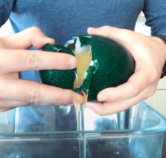 Lòng trắng gần giống như keo, đặc, còn lòng đỏ thì có màu vàng nhạt hơn so với các loại trứng khác.