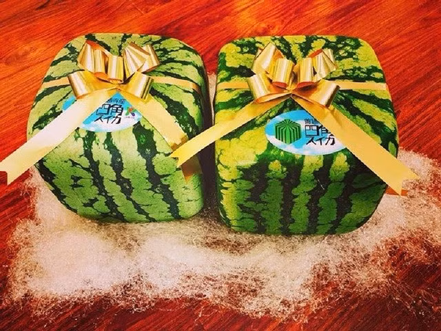 Dưa hấu vuông không được bán phổ biến mà chỉ được nhập số ít bởi những tiểu thương có đầu mối hoặc người quen ở Nhật Bản. Ảnh: Khúc Ngọc Anh.