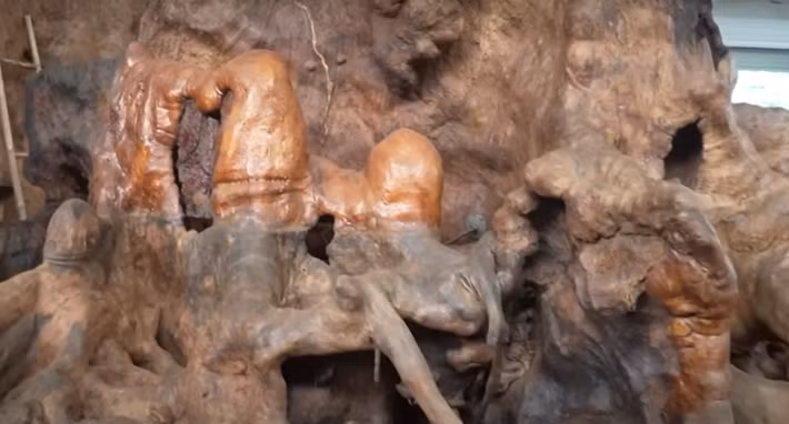 Để gốc cây đẹp và có giá trị hơn thời gian đầu, ông Chiến thuê 10-15 nhân công chăm sóc gốc cây. Mỗi người một nhiệm vụ, lột vỏ, chà nhám sạch sẽ.