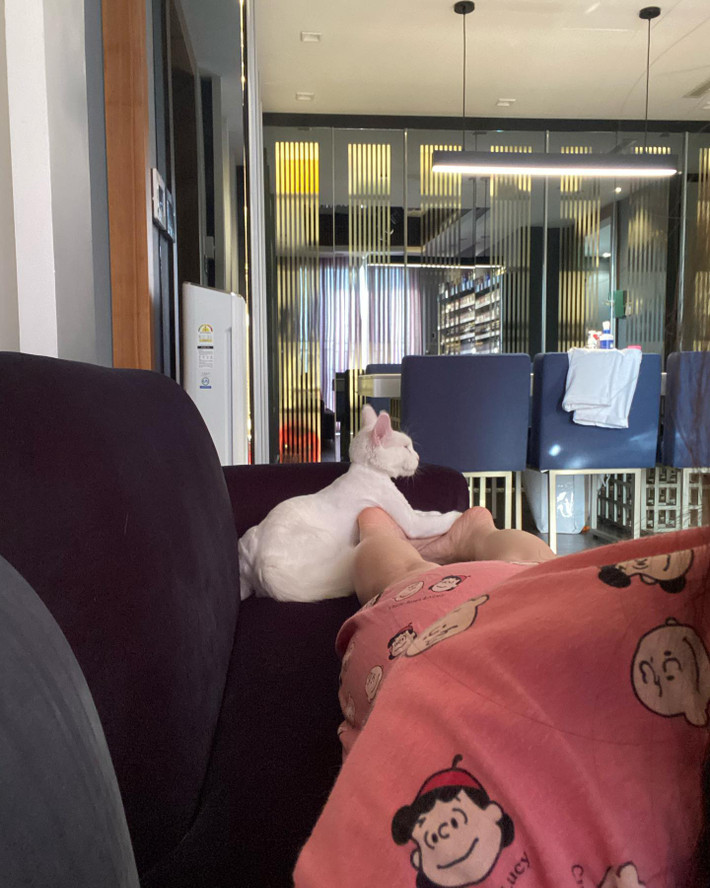 Vì thế, Trấn Thành - Hari Won khéo léo chọn màu sắc sao cho hài hoà với tông màu chủ đạo của ngôi nhà.