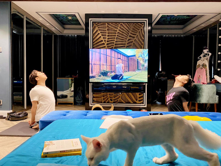 Căn hộ của Trấn Thành - Hari Won được trang trí theo tông màu đen, xanh và trắng.