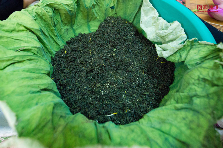 Mỗi mùa sen nở, làng sen Quảng Bá (Tây Hồ, Hà Nội) lại tấp nập vào vụ sản xuất và độc quyền loại trà đặc biệt này. Ảnh: Người đưa tin