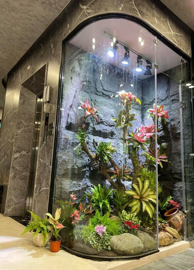 Trong nhà còn có thang máy di chuyển và tiểu cảnh xanh bắt mắt.