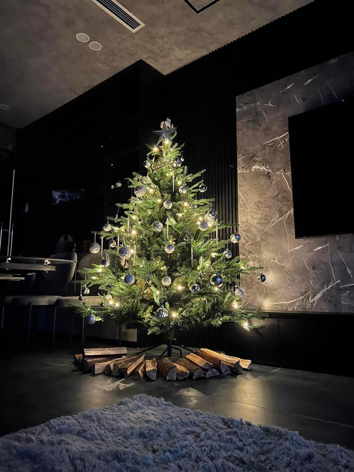 Phòng khách sử dụng gam màu trầm tạo không gian sang trọng.