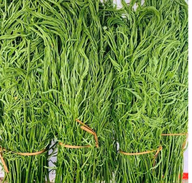 Rau thối là loại rau mọc dại tại nhiều cánh rừng ở vùng Tây Bắc. Dù mọc dại và khá "thối", chúng có giá không hề rẻ.