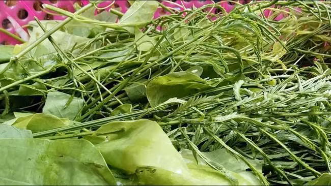 Giá rau thối khoảng 50.000 đồng/kg, thời điểm khan hiếm giá lên tới 90.000 đồng/kg. Dù giá khá đắt nhưng rau vẫn đắt khách, hàng về không đủ để bán.