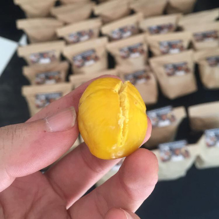 Hạt dẻ Trùng Khánh quả nhỏ và không to đều như hạt dẻ Trung Quốc.