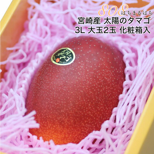 Không giống như xoài thường, tại các cửa hàng trái cây địa phương, xoài Miyazaki có giá bán lên tới 50 USD (khoảng 1,2 triệu đồng) một trái cỡ bằng bàn tay.