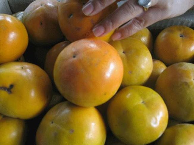 Đặc biệt, cuống của loại hồng Trung Quốc thường có màu thâm đen, rất dễ nhận biết. Ảnh: Vntrip.