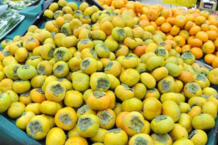 Trong khi đó, hồng giòn Trung Quốc có 2 loại. Một loại hồng giòn quả to, hình vuông hơi dẹt chứ không tròn quả, trọng lượng từ 2-3 lạng/quả. Ảnh: Internet.