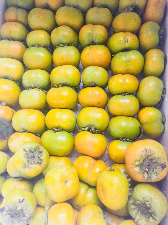 Một điểm dễ nhận biết nữa là hồng Việt Nam thường có vị ngọt thanh. Hồng Trung Quốc có vị ngọt sắc, không có mùi thơm, để lâu phần thịt sẽ bị hỏng dần. Ảnh: Vietq