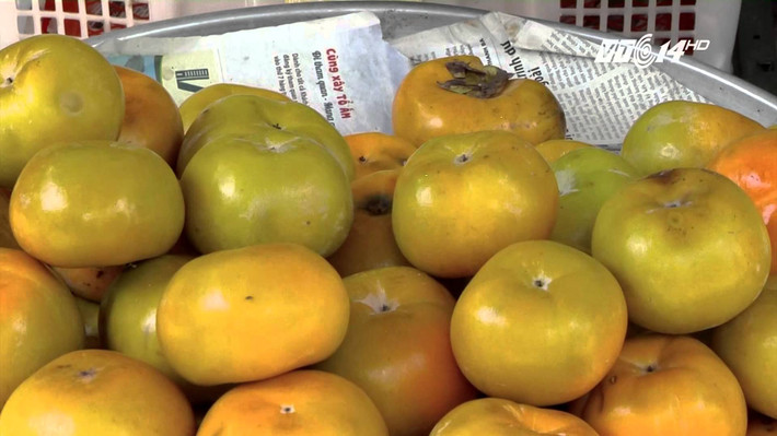 Loại hồng giòn này giống hệt với hồng giòn Mộc Châu nhưng phần thịt thường vàng nhạt, ăn mềm, vị cũng nhạt hơn, kích thước quả cũng to, đều hơn. Ảnh: Chudu24.