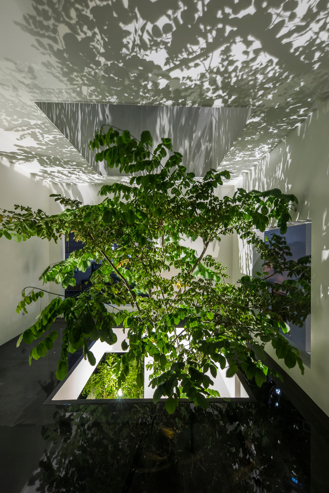 Ngôi nhà kết nối với mảng xanh xung quanh. Ảnh: Archdaily