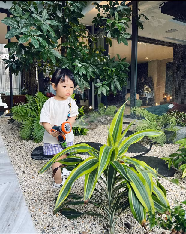 Thông qua loạt ảnh Suchin chăm chỉ tưới cây giúp bố mẹ, ngôi biệt thự bề thế của Cường Đô La - Đàm Thu Trang vô tình được hé lộ. Ảnh: Instagram