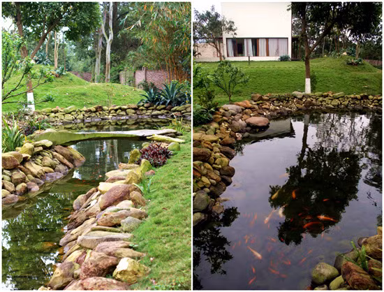 Hồ cá thu hút bất cứ ai ghé thăm. Ảnh: Vietnamnet