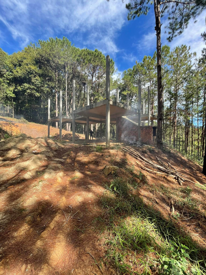 Từ bản vẽ thiết kế, có thể thấy biệt thự mới của Di Băng sử dụng những vật liệu gần gũi với thiên nhiên như đá, gỗ, làm nổi bật lên vẻ thơ mộng giữa núi rừng.