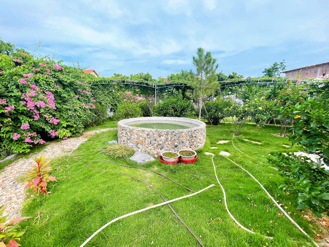 Khu vui chơi với hồ bơi, bãi cỏ rộng, vườn hoa, cây trái,... được tự tay bố mẹ Đỗ Duy Nam chăm sóc mỗi ngày. Ảnh: FBNV