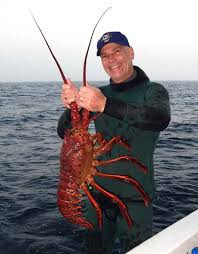 Ngay cả khi chiếc bẫy chứa đầy tôm hùm được kéo trở lại, họ vẫn có thể phải thả lại rất nhiều theo quy định. Tôm hùm quá lớn, quá bé hoặc đang mang trứng đều phải không được đánh bắt.