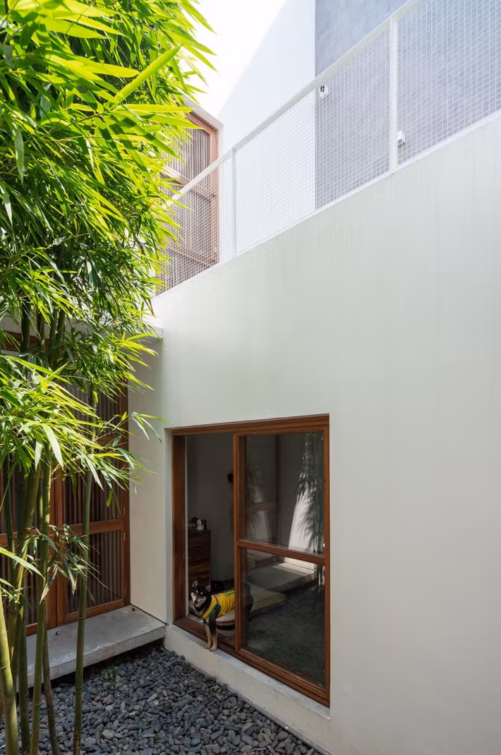 Hàng tre xanh mướt mang đến cảm giác thanh bình, dễ chịu.