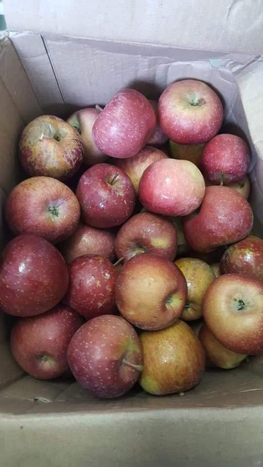 Dù là táo Trung Quốc nhưng táo đá vẫn được người tiêu dùng ưa chuộng bởi táo này ăn còn giòn, ngọt, giá thành lại siêu rẻ. Ảnh: Facebook