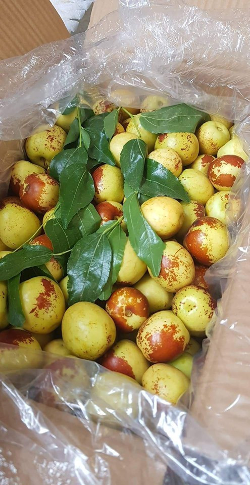 Xuất hiện tại nhiều chợ, táo tàu tươi (hồng táo) cũng là mặt hàng được ưa chuộng với giá dao động từ 50.000 - 130.000 đồng/kg. Ảnh: Facebook.