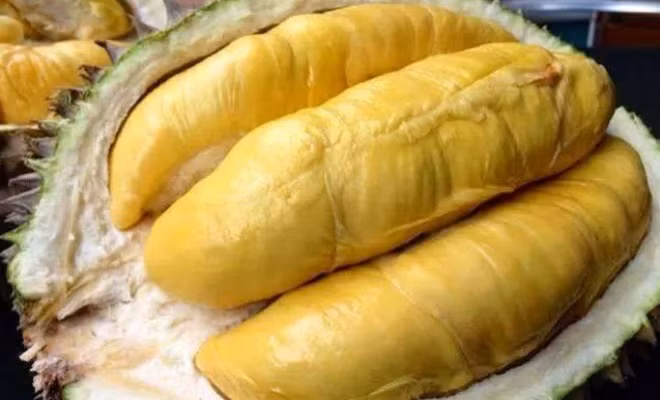 Đặc biệt, những quả sầu riêng già và bắt đầu chín thường có vỏ ngoài hơi nứt, mùi thơm đặc trưng.